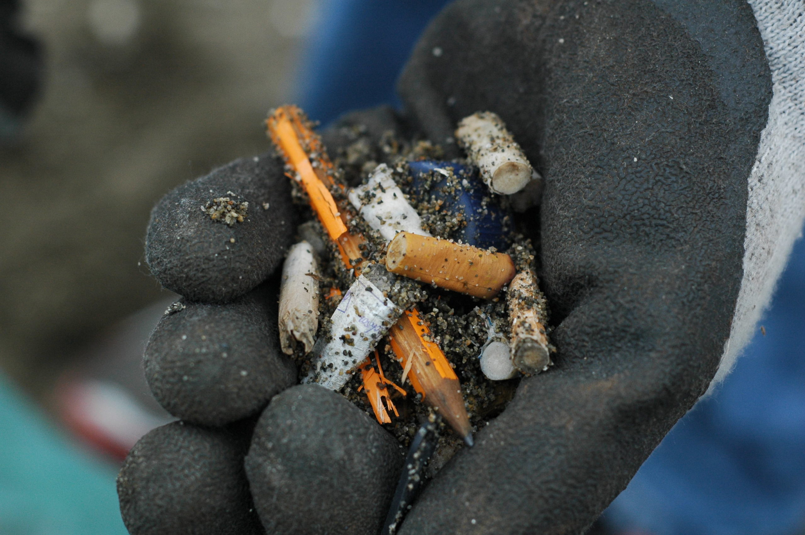 Shoreline cleanups across Canada. 