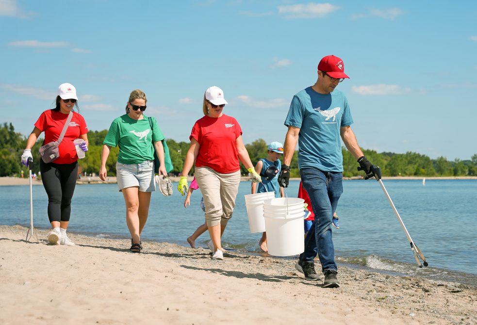 Menez un nettoyage du littoral