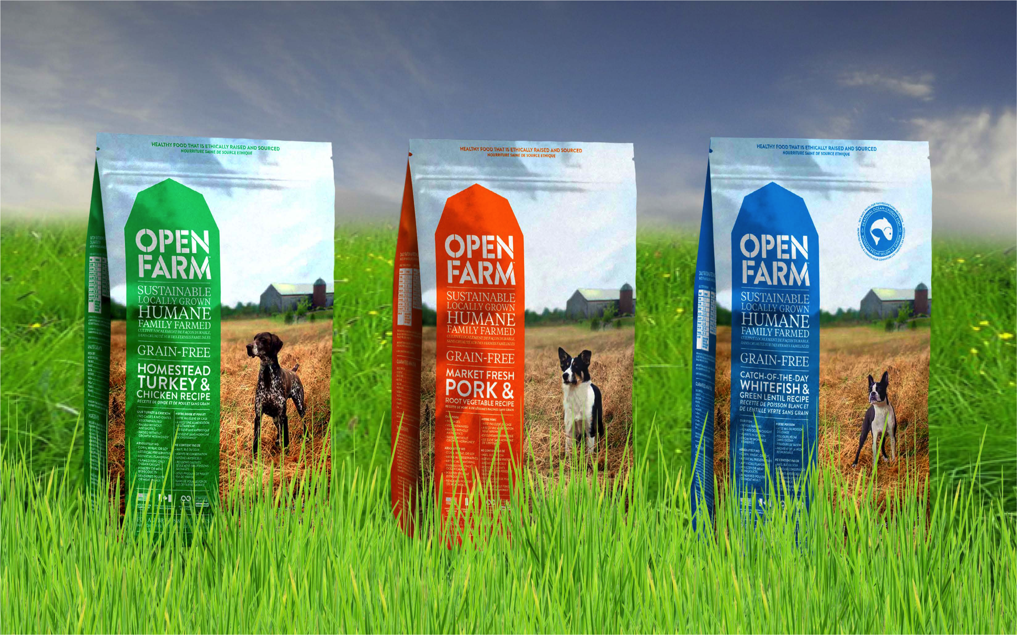 Nourriture pour chiens Open Farm Ocean Wise  