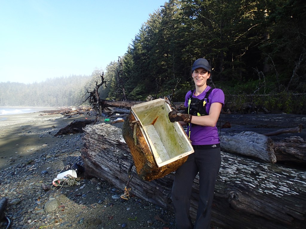 Tsunami Debris cleanup 