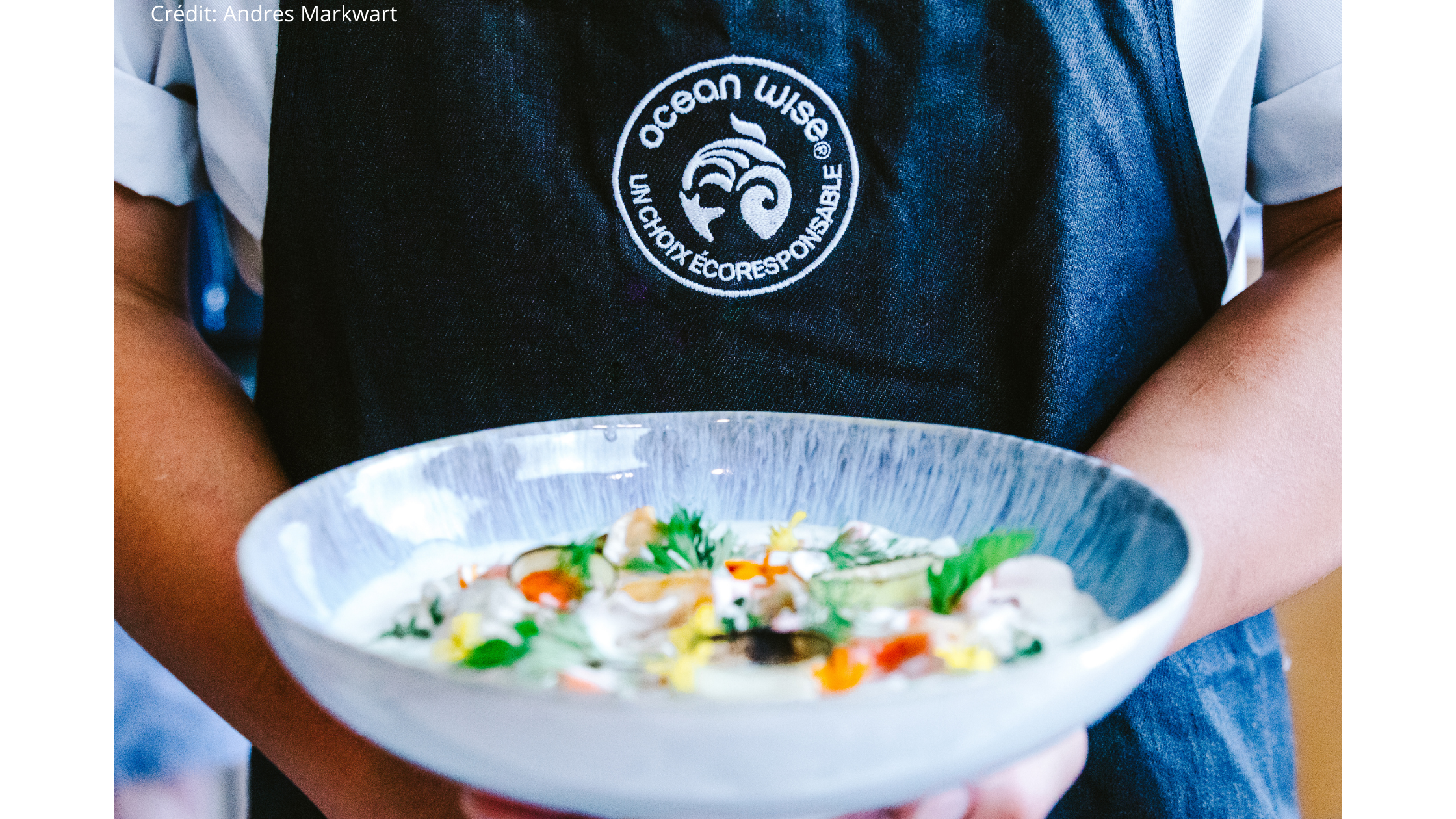 LÉGENDE POUR LA PHOTO  