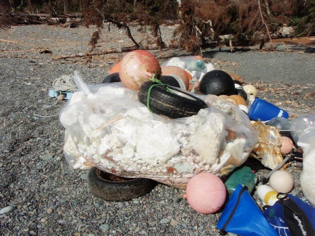 Shoreline debris 