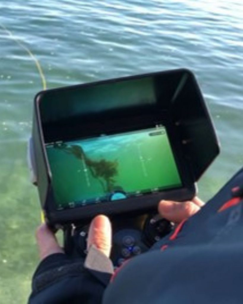 Monitoring Kelp with ROV